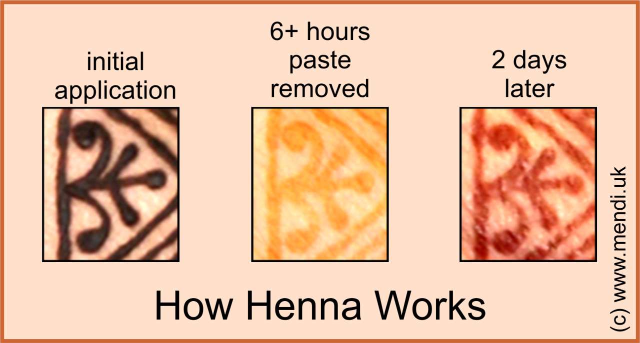 How Henna Works- www.Mendi.uk